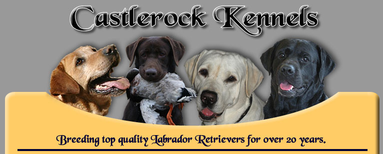 Castlerock Kennels